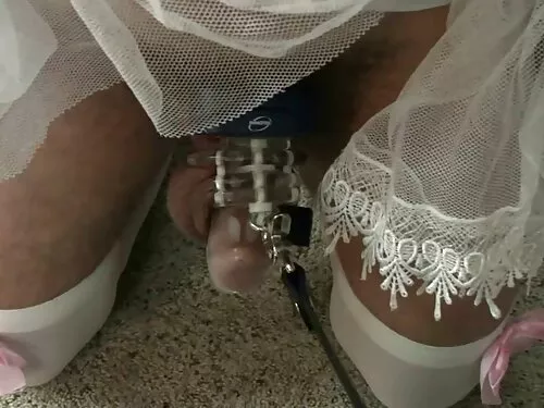 काकेशियन निम्फो बोनी ...