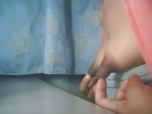 लज्जाहीन चेस्टनट किश ...