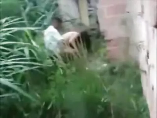 सफा कालो कपाल भएको क ...